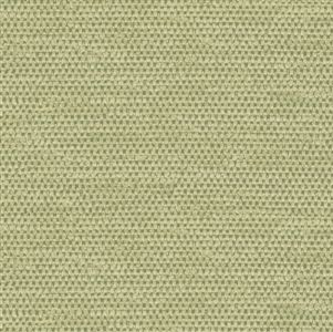 extraimage4